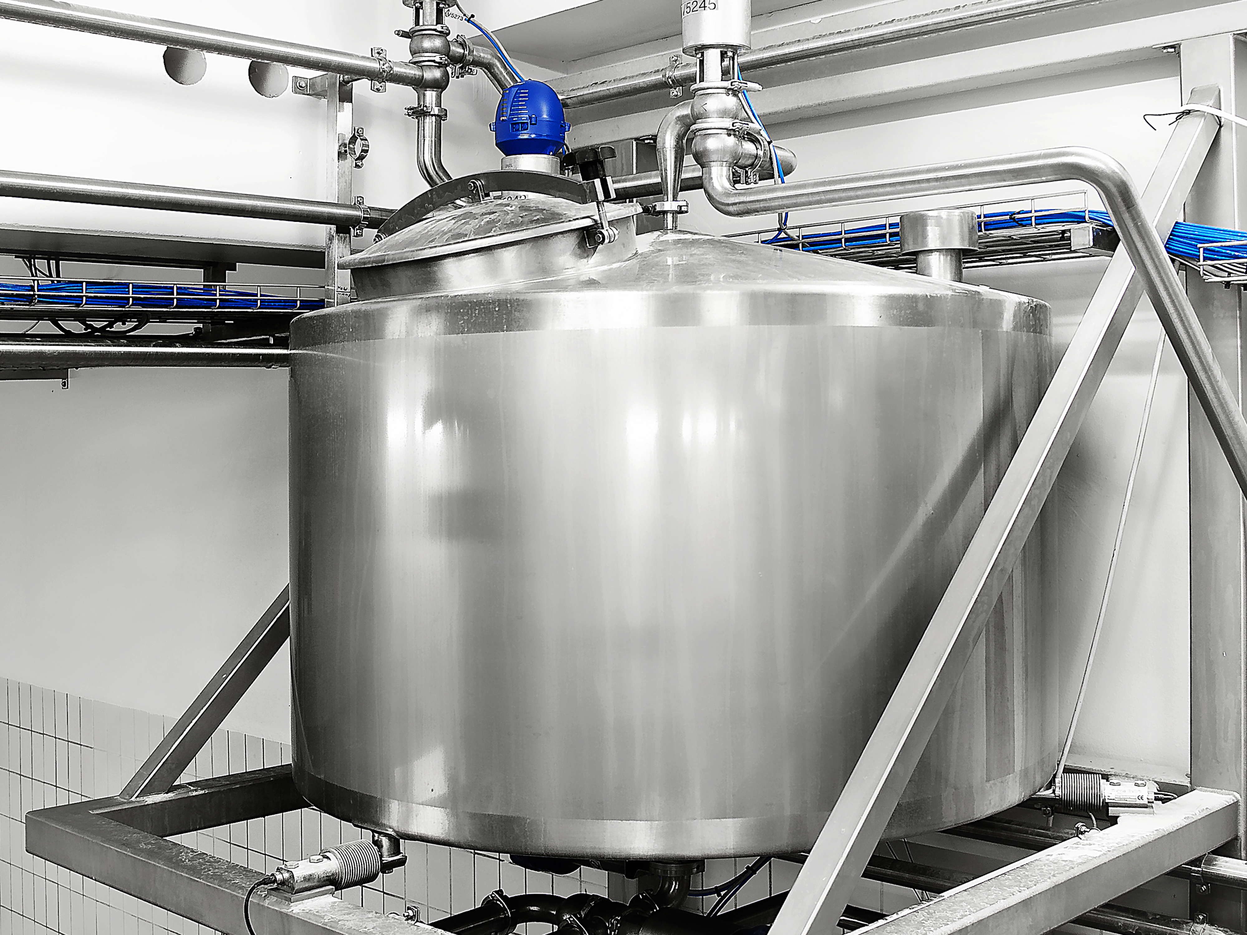 cella di carico capacitiva Eilersen su reattore farmaceutico fisso GMP
