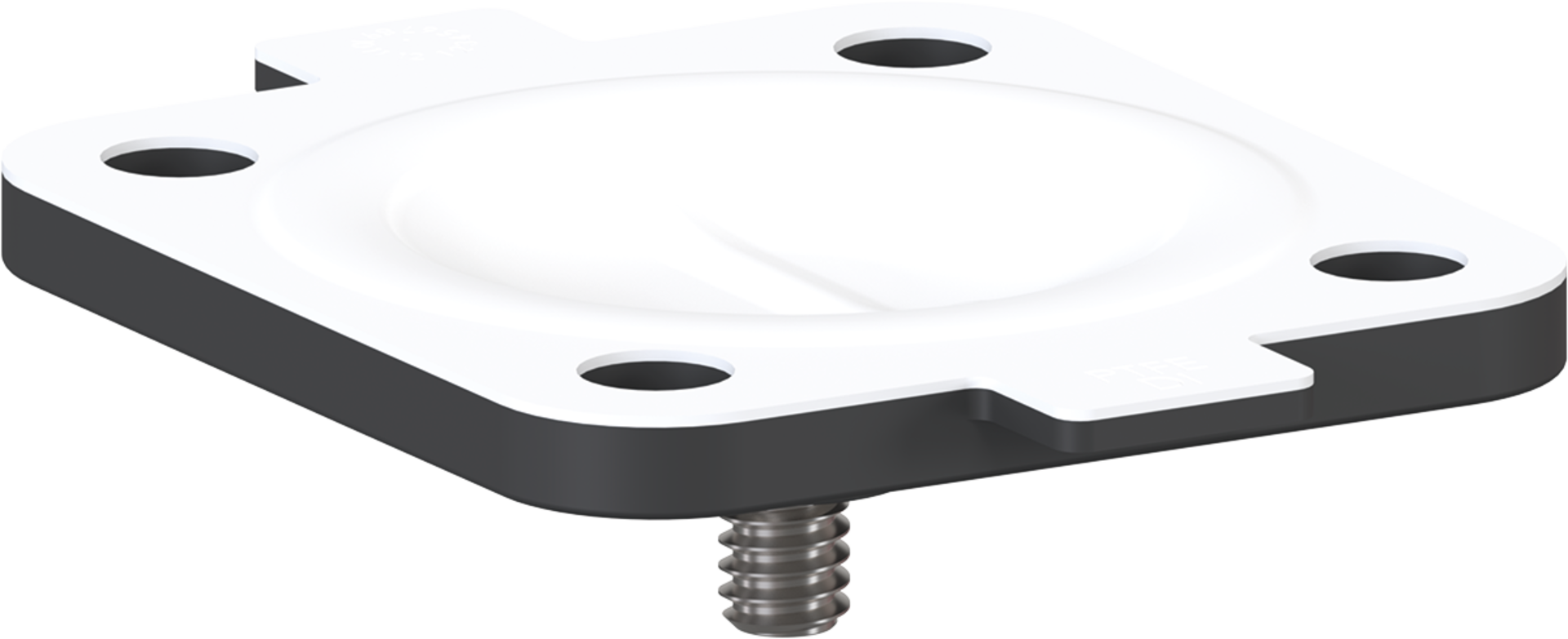 membrana ptfe