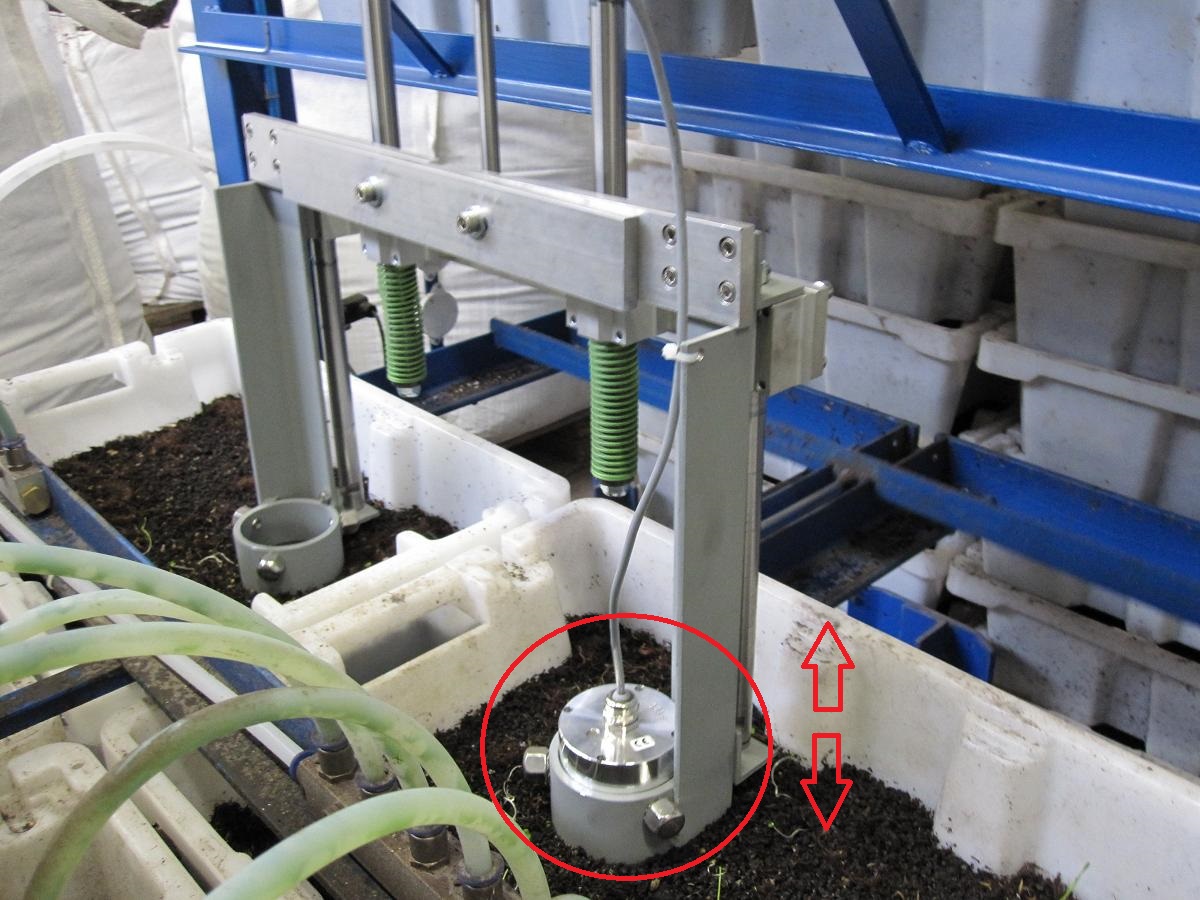 misura umidità insilato silomais con sensore microonde su tramoggia carico digestore biogas